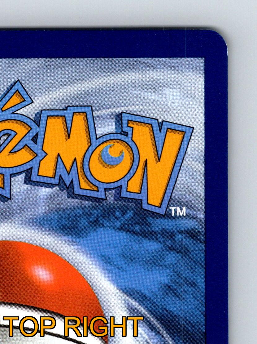 Basic Buizel HP 70 Quick Attack Blue Sea Weasel Pokémon