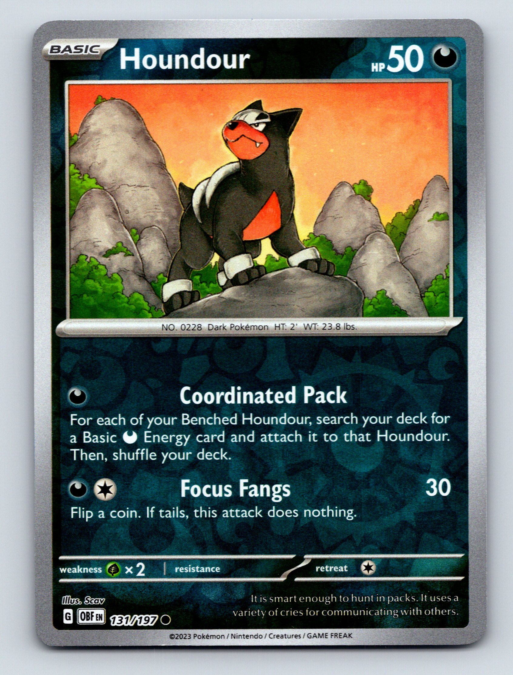 black pokemon cards price ADKD Black Pokemon Card Game - Pack of 55 Cards (Card Design May Vary)  Online India, Buy Board Games for (5-12Years) at FirstCry.com
