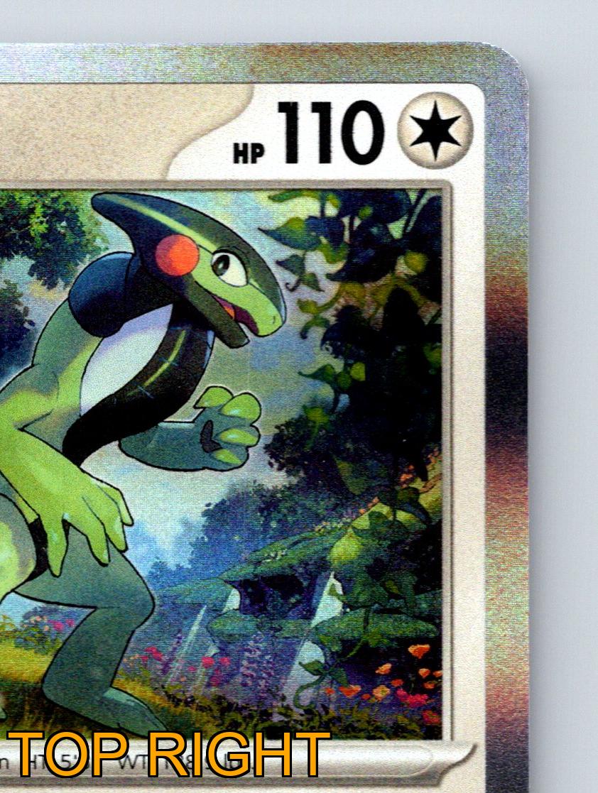 Pokémon card Zekrom 011/028 S8a 25th Anniversary Collection - Pokemon