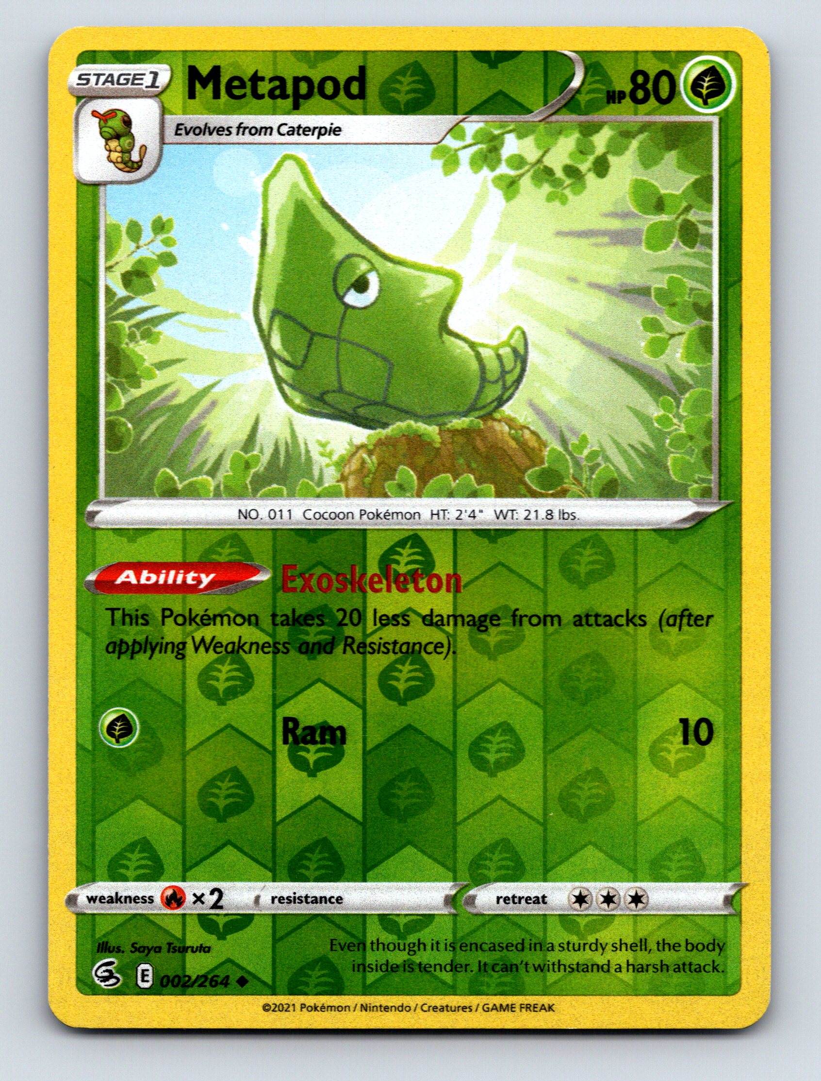 Stage 1 Metapod HP 80 Exoskeleton Ability Green Colorful Pokmon Card