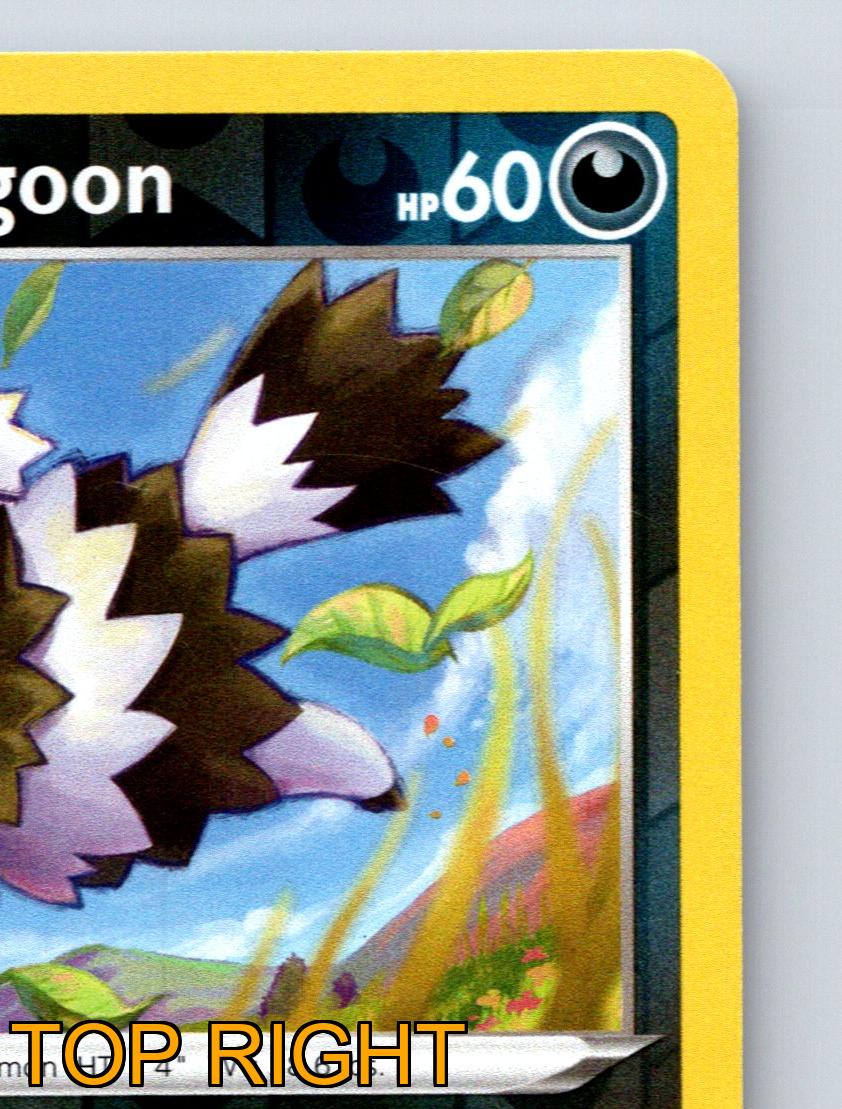zigzagoon pokemon card value Basic Galarian Zigzagoon HP 60 Lick Attack Rarity Dark Pokémon