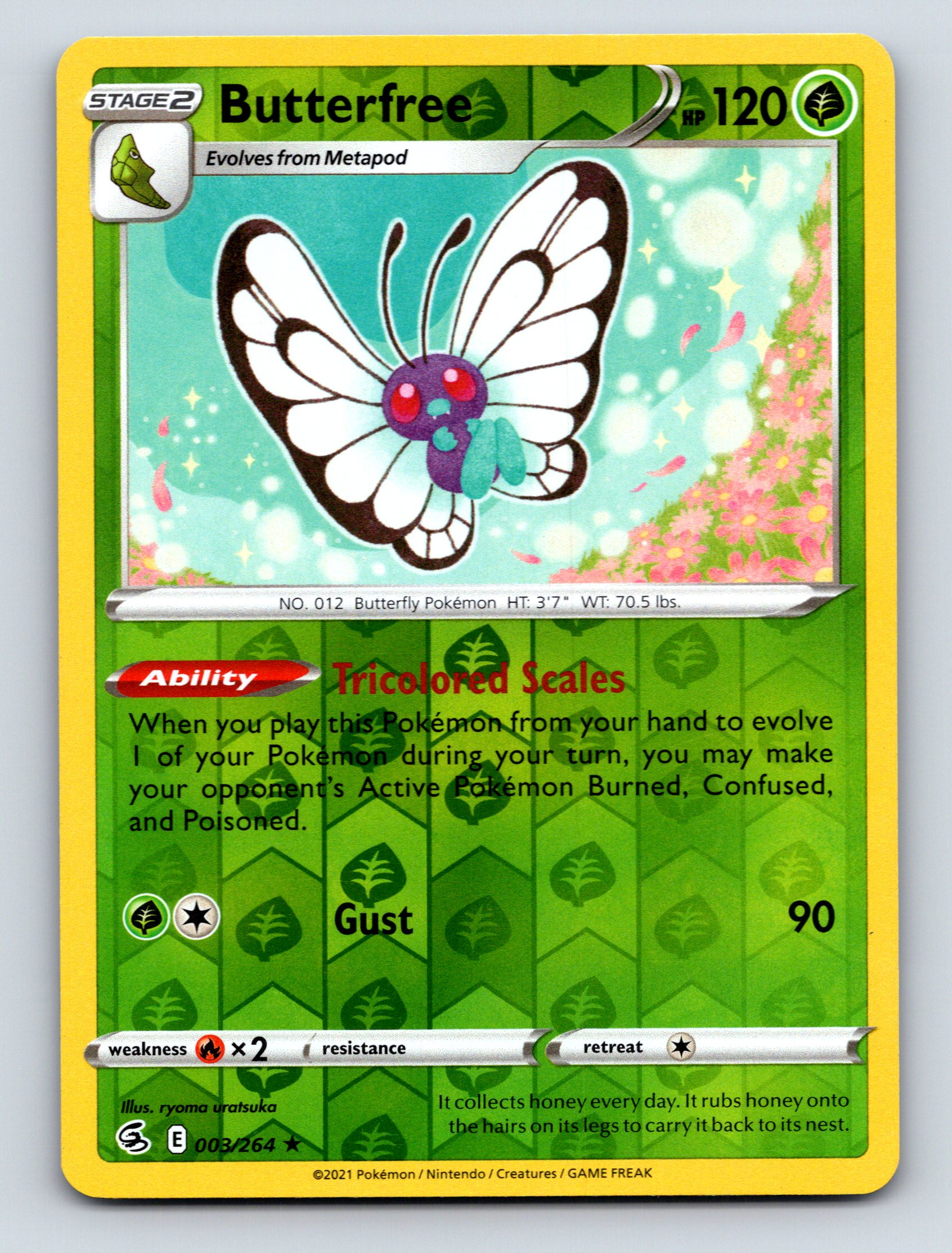 Stage 2 Butterfree HP 120 Tricolored Scales Ability Green Pokémon