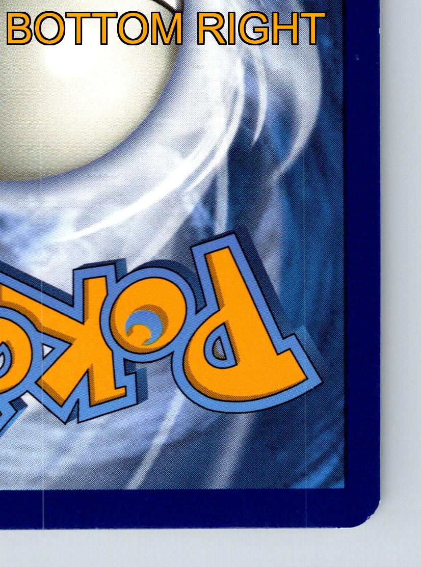 Basic Toxel HP 70 Gnaw Attack Rarity Yellow Pokémon Card Electric