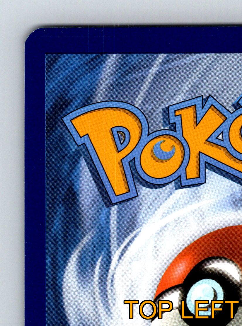 Basic Toxel HP 70 Gnaw Attack Rarity Yellow Pokémon Card Electric