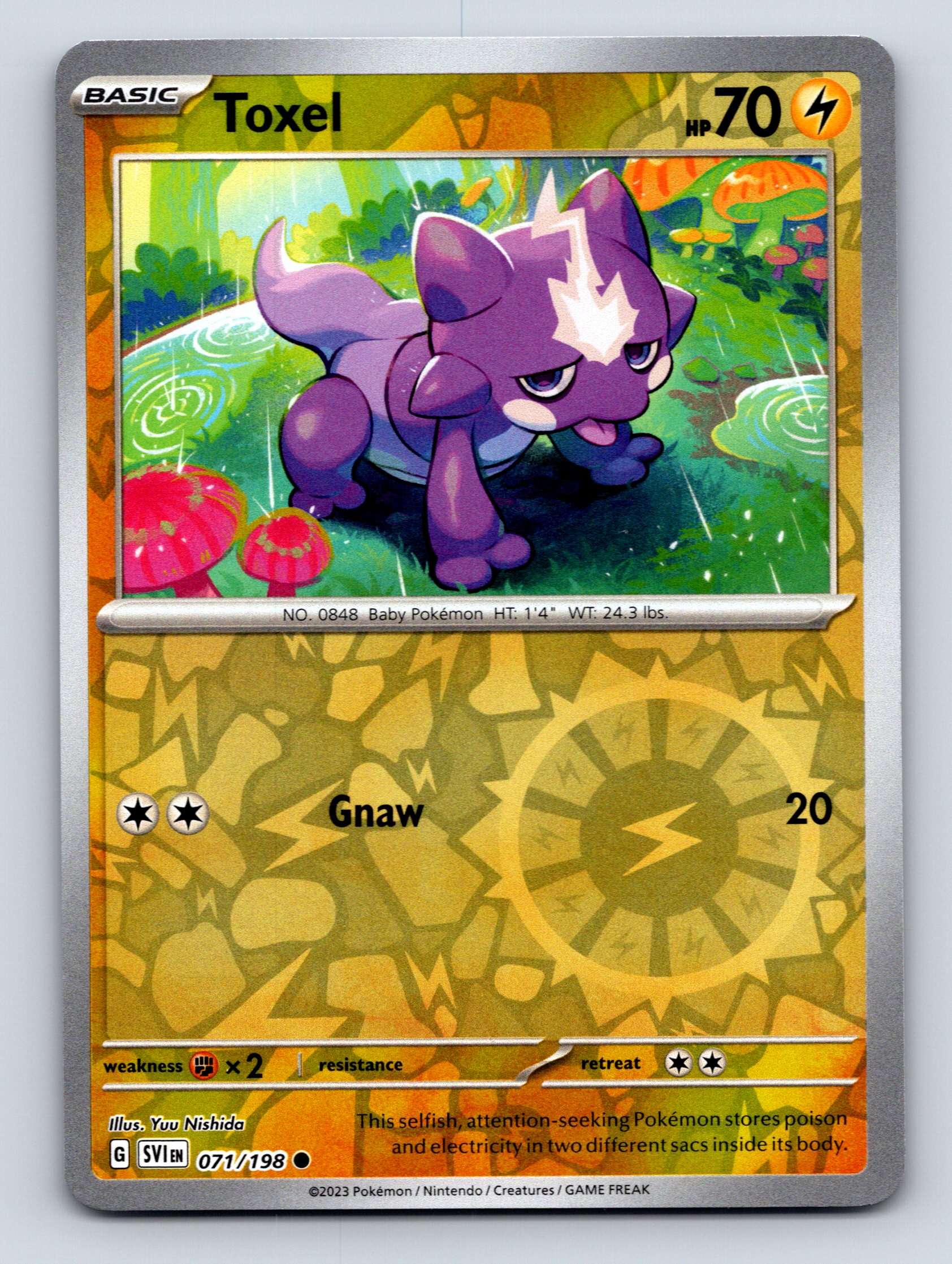 Basic Toxel HP 70 Gnaw Attack Rarity Yellow Pokémon Card Electric