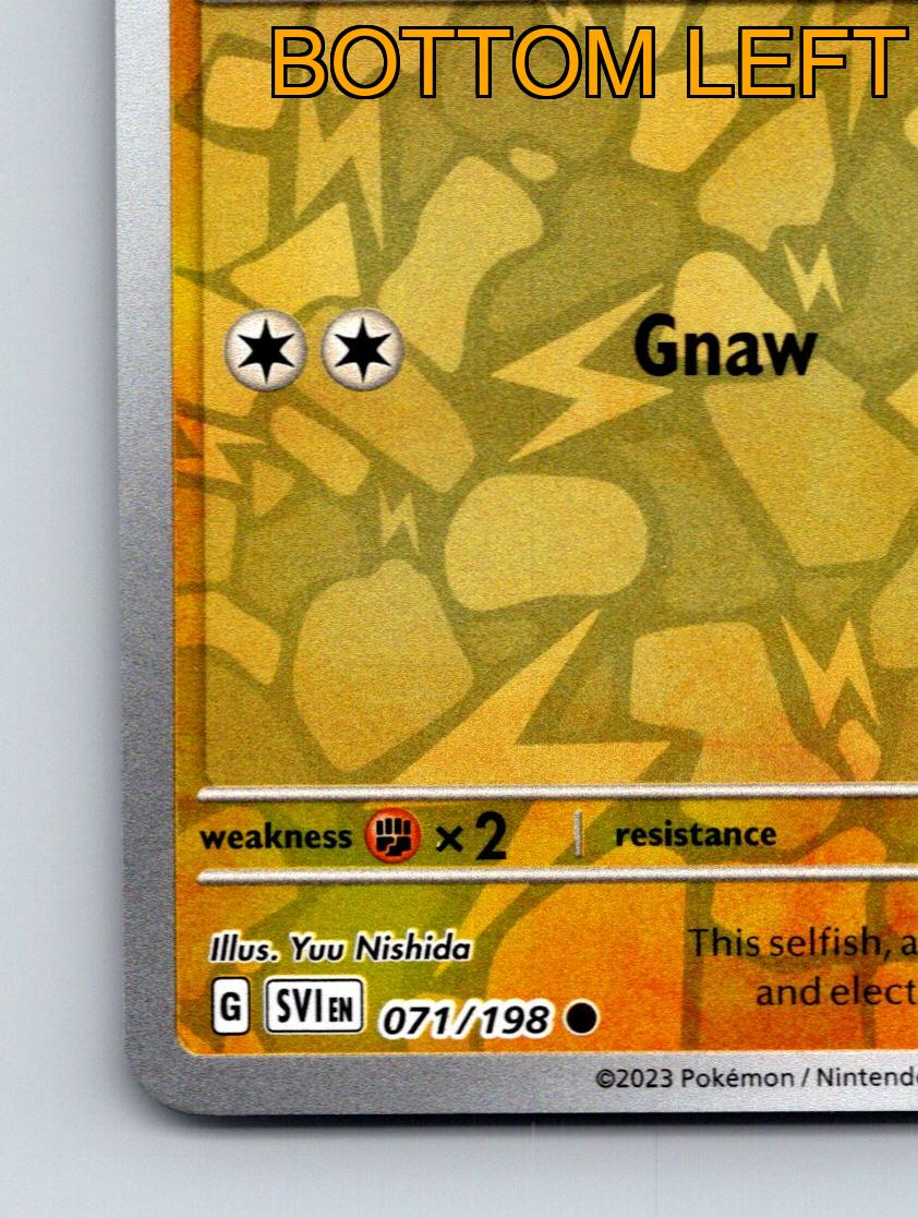 Basic Toxel HP 70 Gnaw Attack Rarity Yellow Pokémon Card Electric