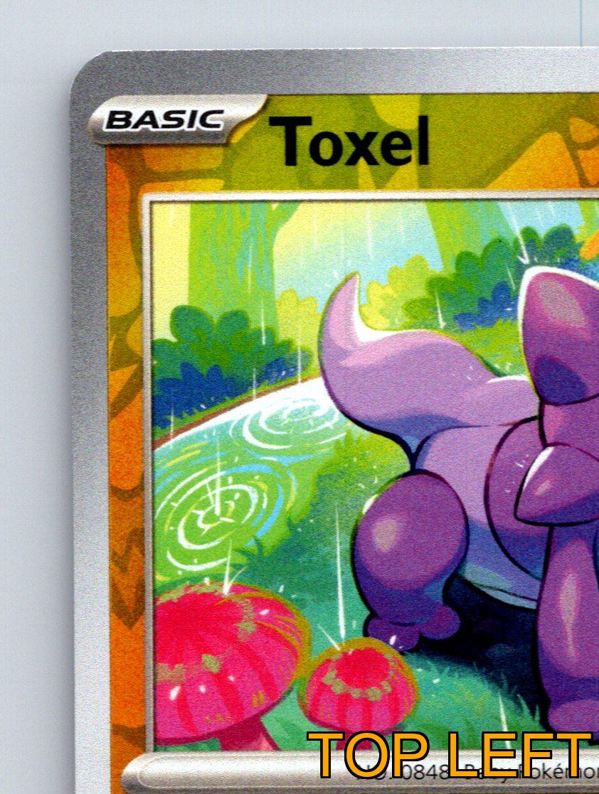 Basic Toxel HP 70 Gnaw Attack Rarity Yellow Pokémon Card Electric