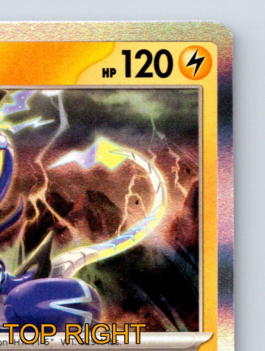 Basic Miraidon HP 120 Sharp Fang Lightning Laser Rarity Yellow