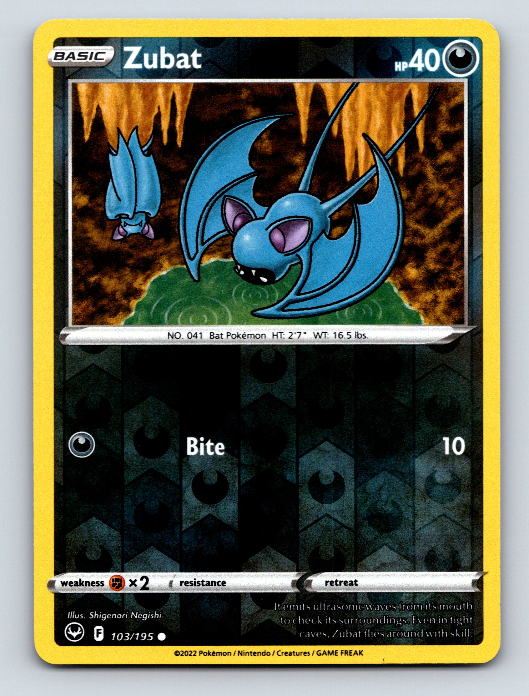 Basic Zubat HP 40 Bite Attack Common Black Bat Pokmon Card