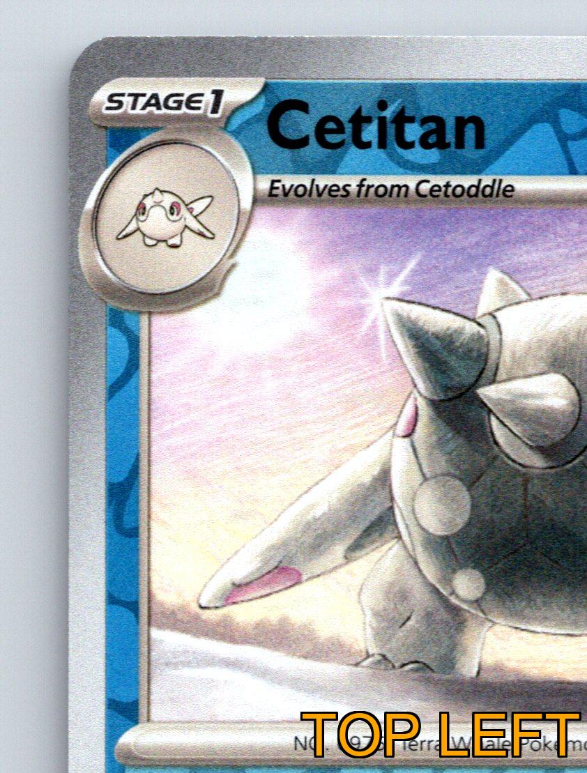 is cetitan a rare pokemon card Stage 1 Cetitan HP 180 Special Horn Rarity Blue Pokémon Card