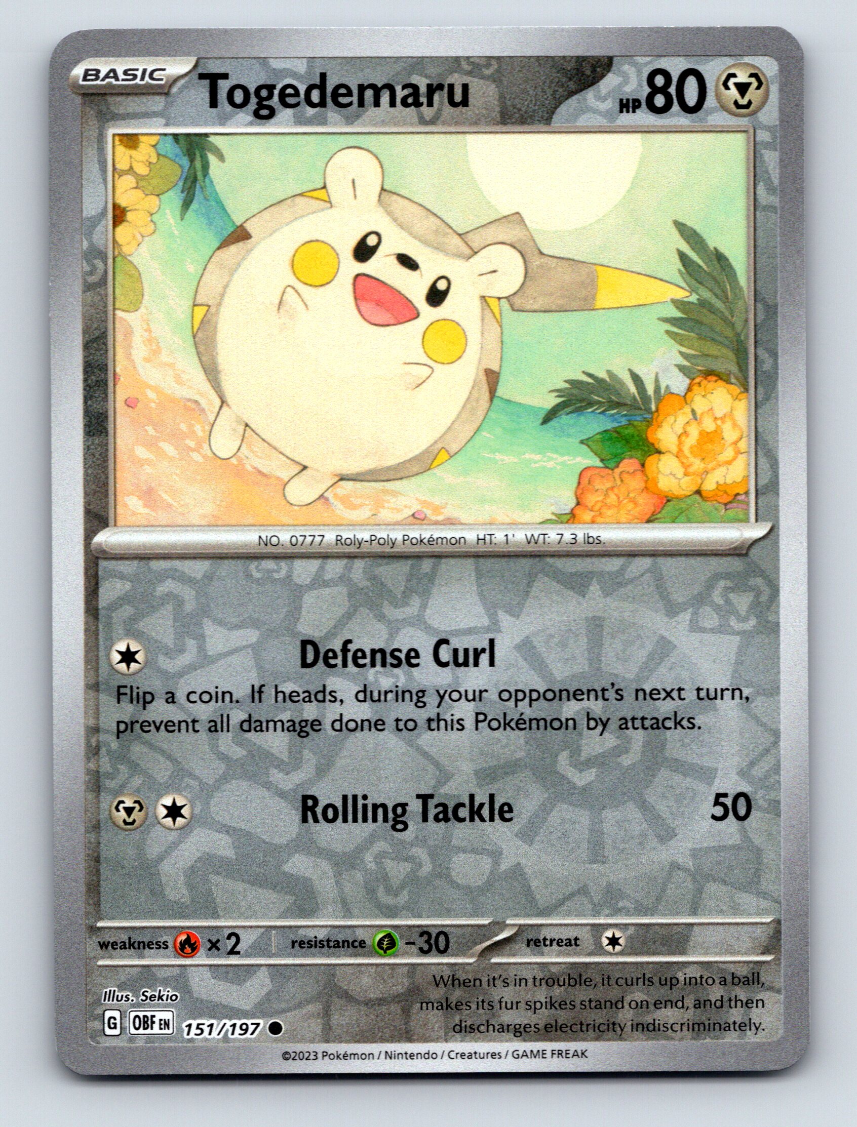 Basic Togedemaru HP 80 Defense Curl Attack Rarity Gray Pokmon Card Basic Togedemaru HP 80 Defense Curl Attack Rarity Gray Pokmon Card