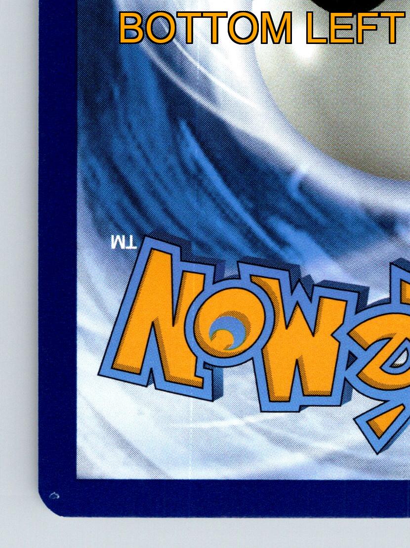 Trainer Babiri Beere Pokémon Werkzeugkarte Verteidigung Grün Pokémon Werkzeug - Bild 9 von 10