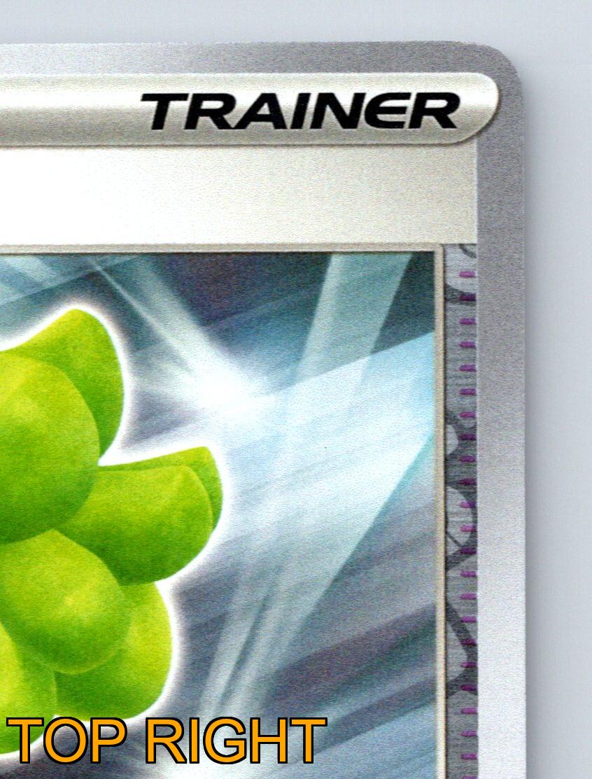 Trainer Babiri Beere Pokémon Werkzeugkarte Verteidigung Grün Pokémon Werkzeug - Bild 4 von 10