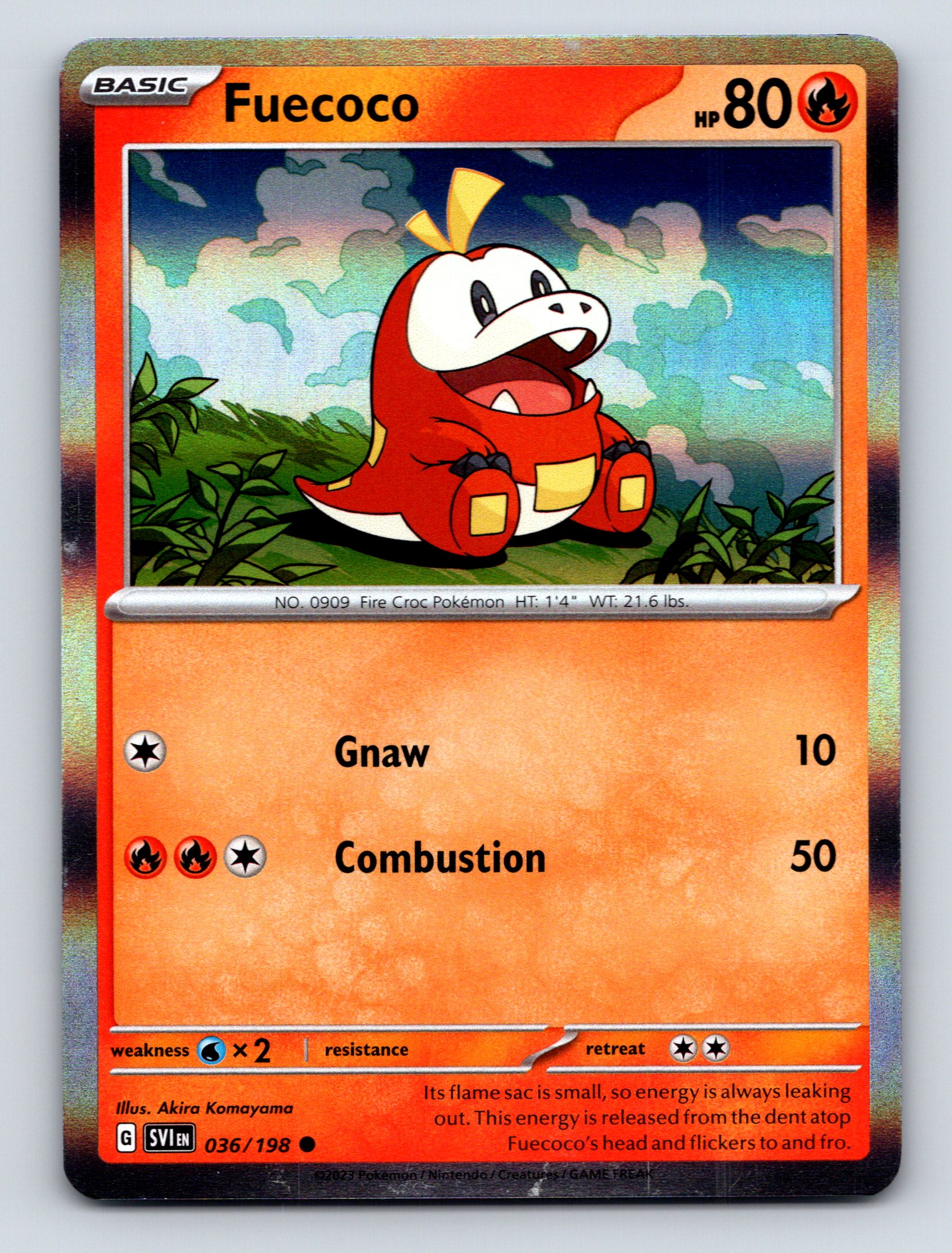 Basic Fuecoco HP 80 Combustion Attack Rarity Red Colorful Pokémon