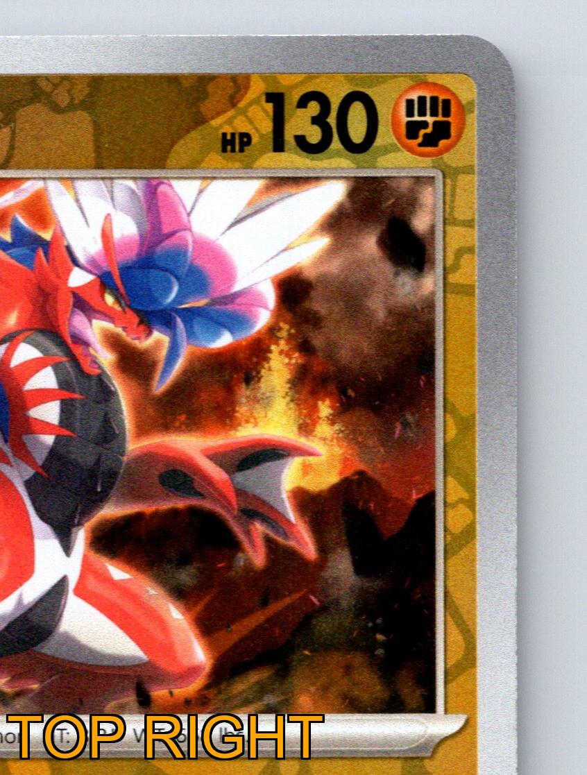 Basic Koraidon HP 130 Claw Slash Rampaging Fang Rarity Red