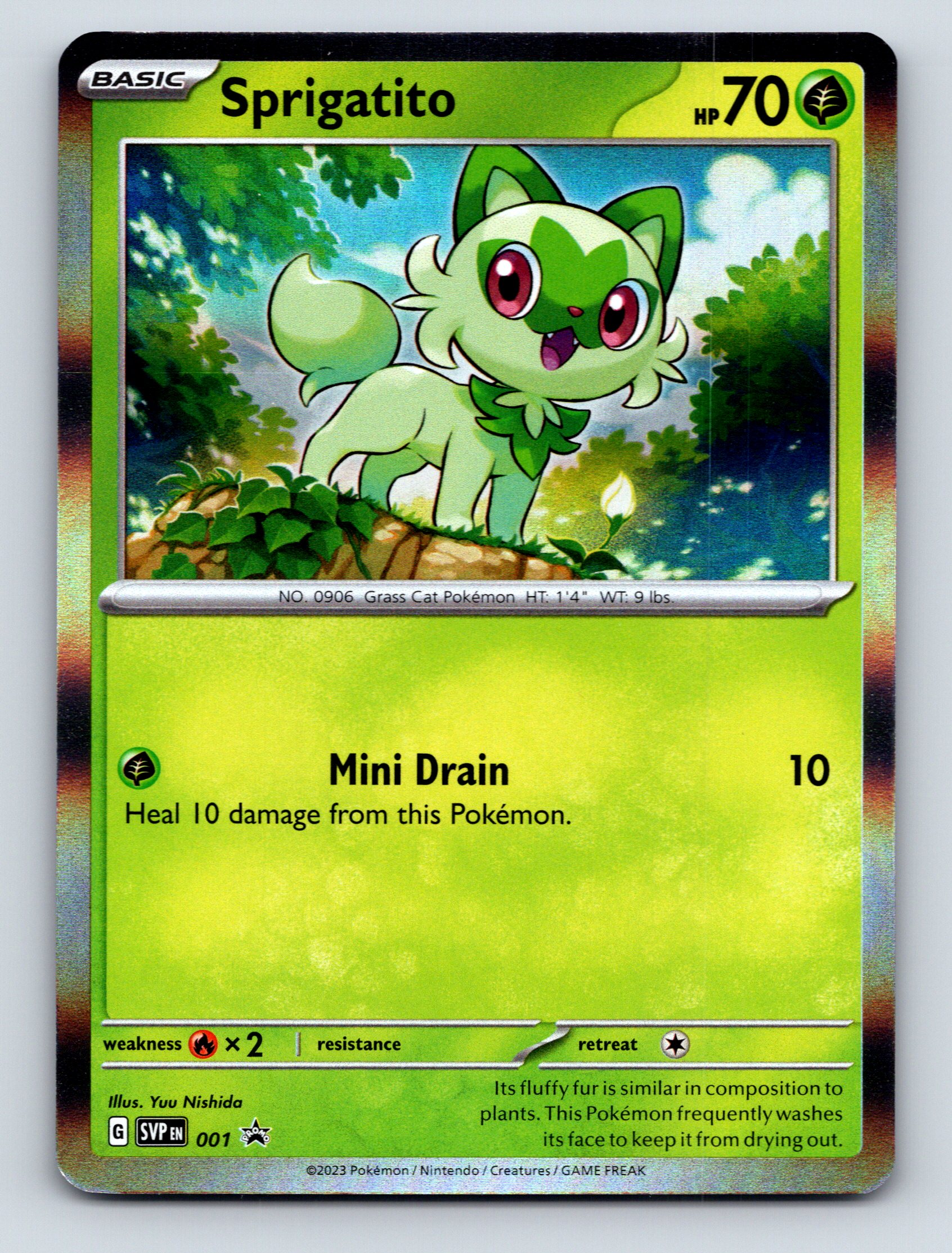 Basic Sprigatito HP 70 Mini Drain Attack Green Pokmon Card