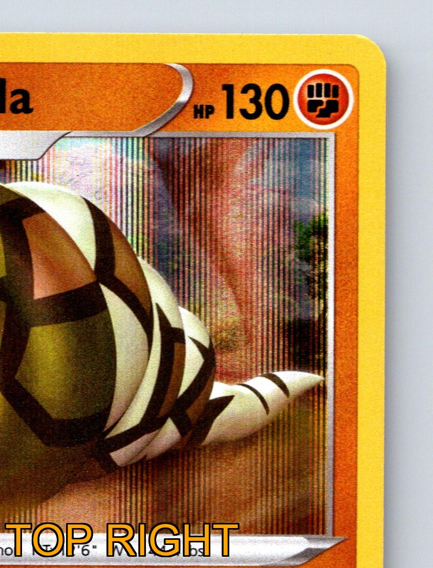 Stage 1 Sandaconda HP 130 Big Sand Cannon Attack Rarity Orange Pokmon | eBay Stage 1 Sandaconda HP 130 Big Sand Cannon Attack Rarity Orange Pokmon | eBay