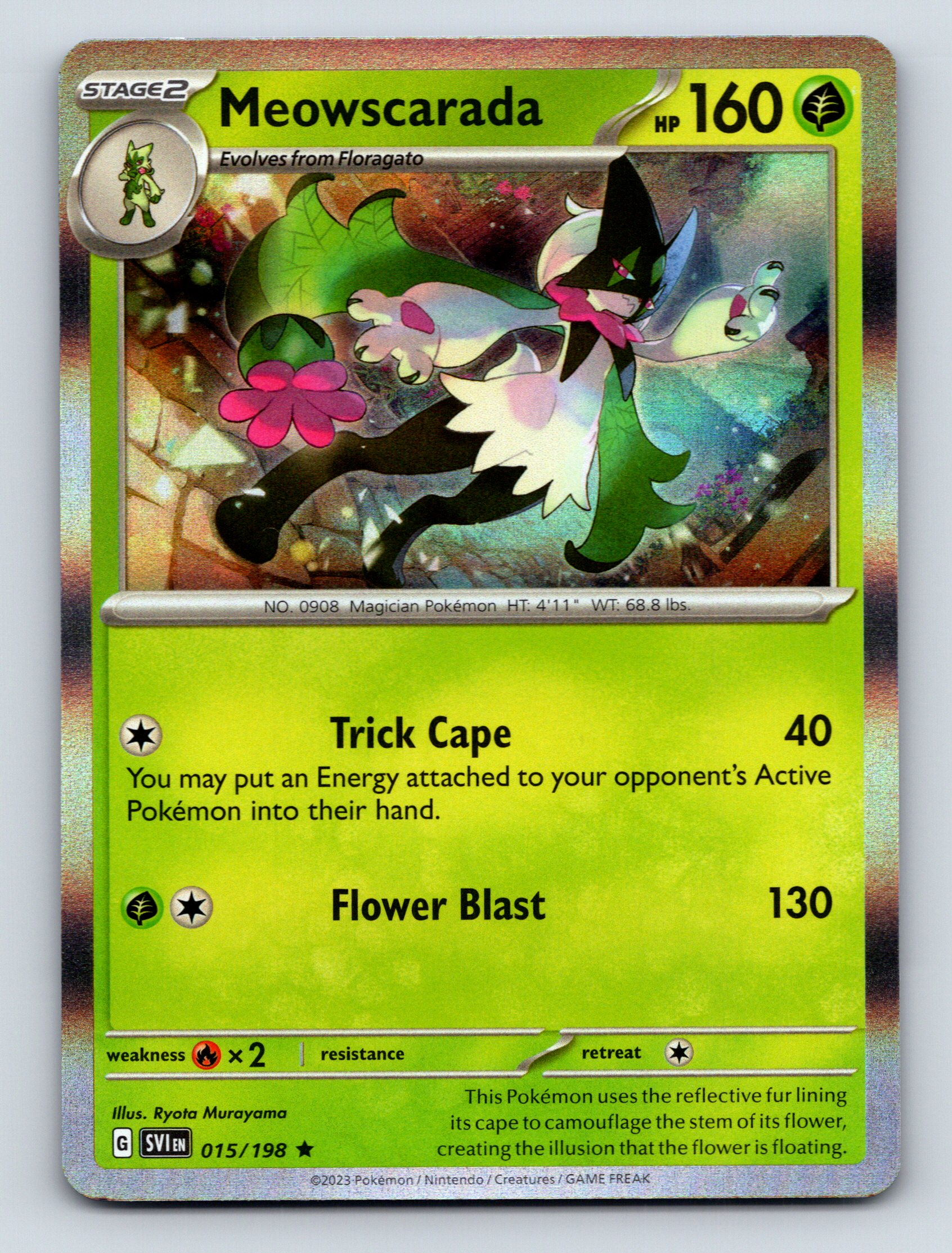 ポケドール　バシャーモ Stage 2 Meowscarada HP 160 Trick Cape Attack Rarity Green Pokémon