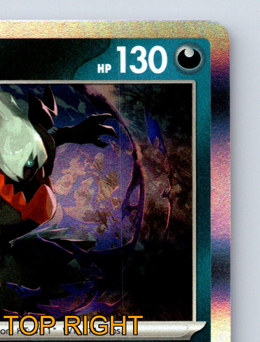 Basic Darkrai HP 130 Dark Slumber Night Cyclone Rare Dark