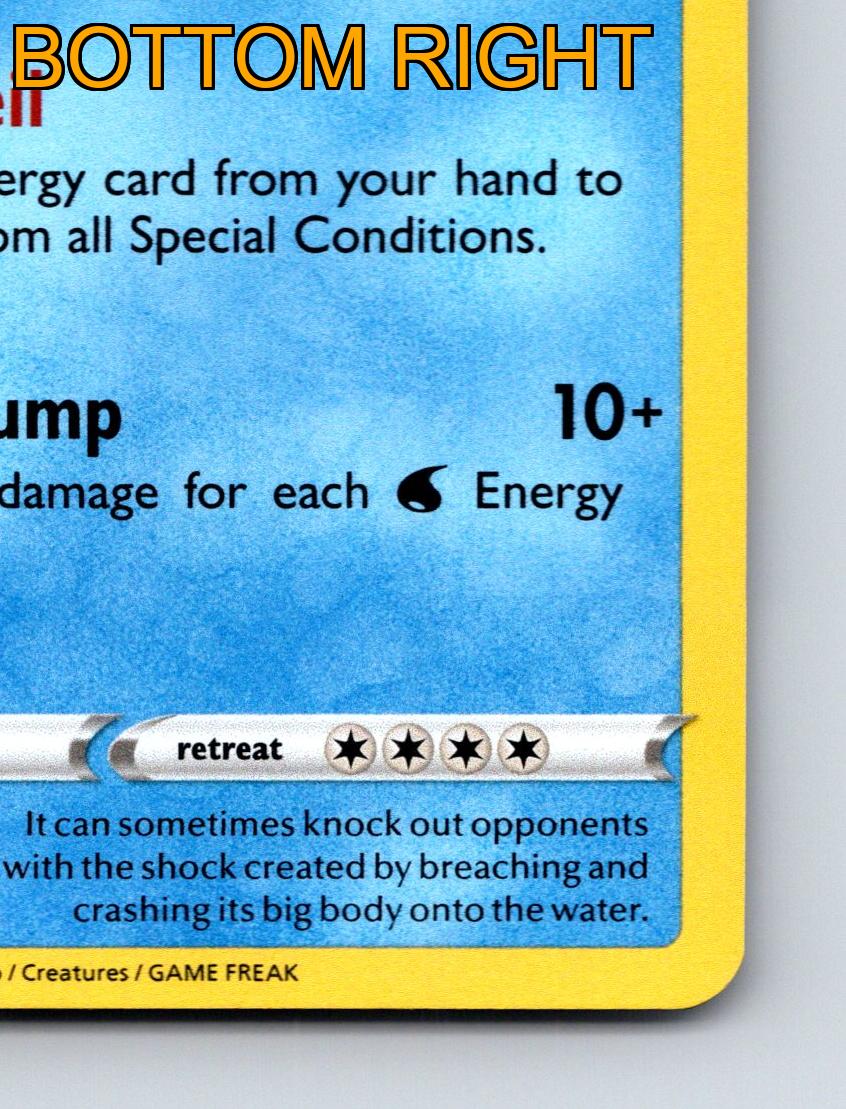 Stage 1 Wailord HP 200 Hydro Pump Attack Rarity Water Blue Card Pokmon |  eBay