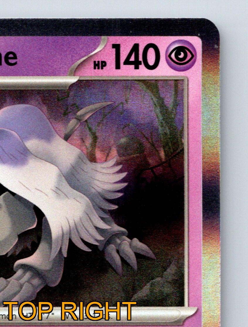 Stage 1 Houndstone HP 140 Last Respects Attack Rare Pink Pokémon