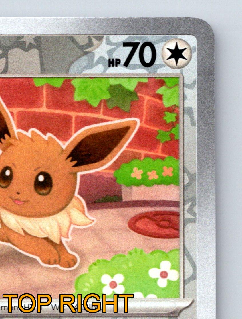 Pokémon Karte Basic Eevee HP 70 Cheer Up And Kick Attack Normal Grau - Bild 4 von 10
