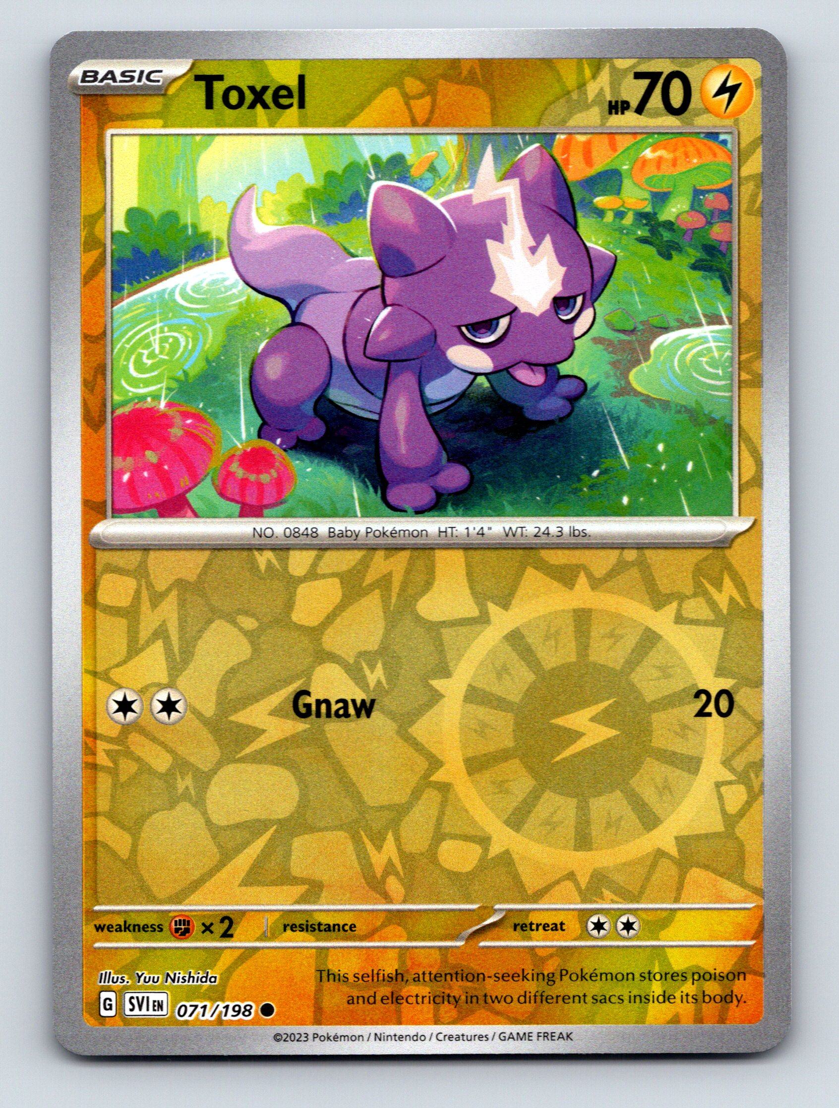 Basic Toxel HP 70 Gnaw Attack Colorful Vibrant Electric Pokémon | eBay