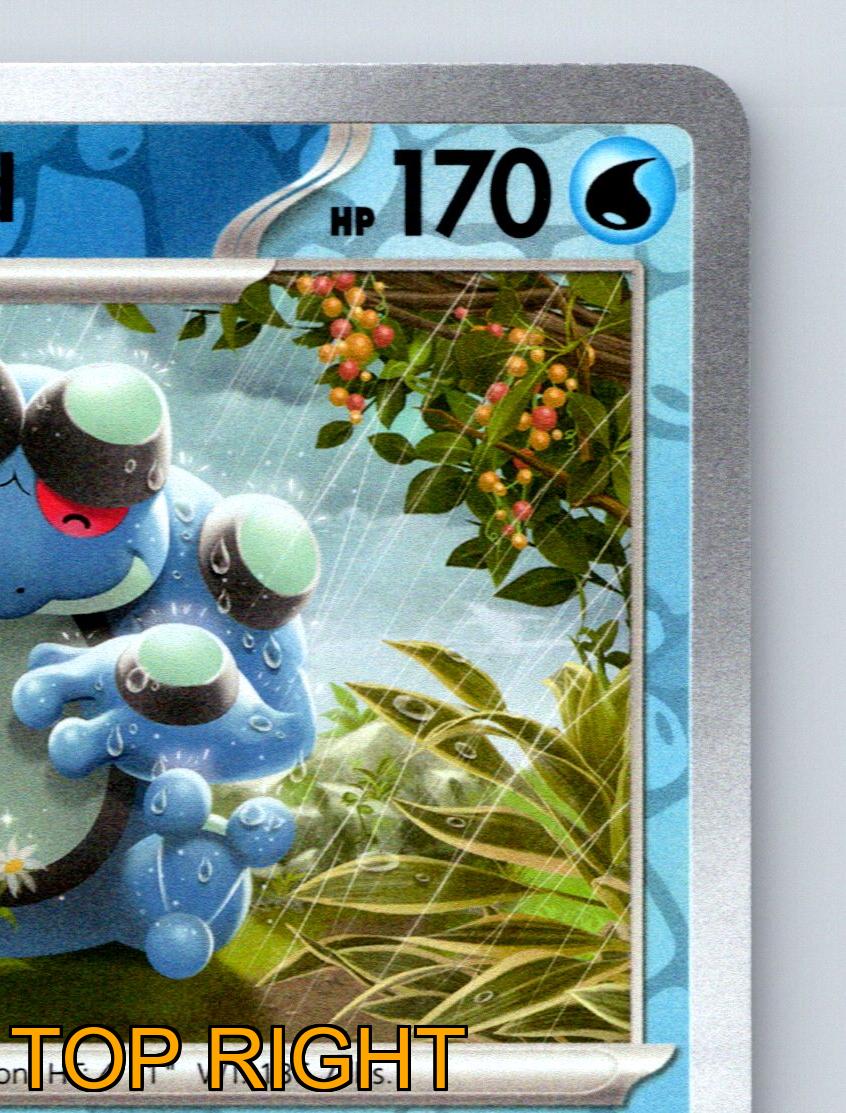 Stage 2 Seismitoad HP 170 Echoed Voice Quaking Zone Blue Pokémon
