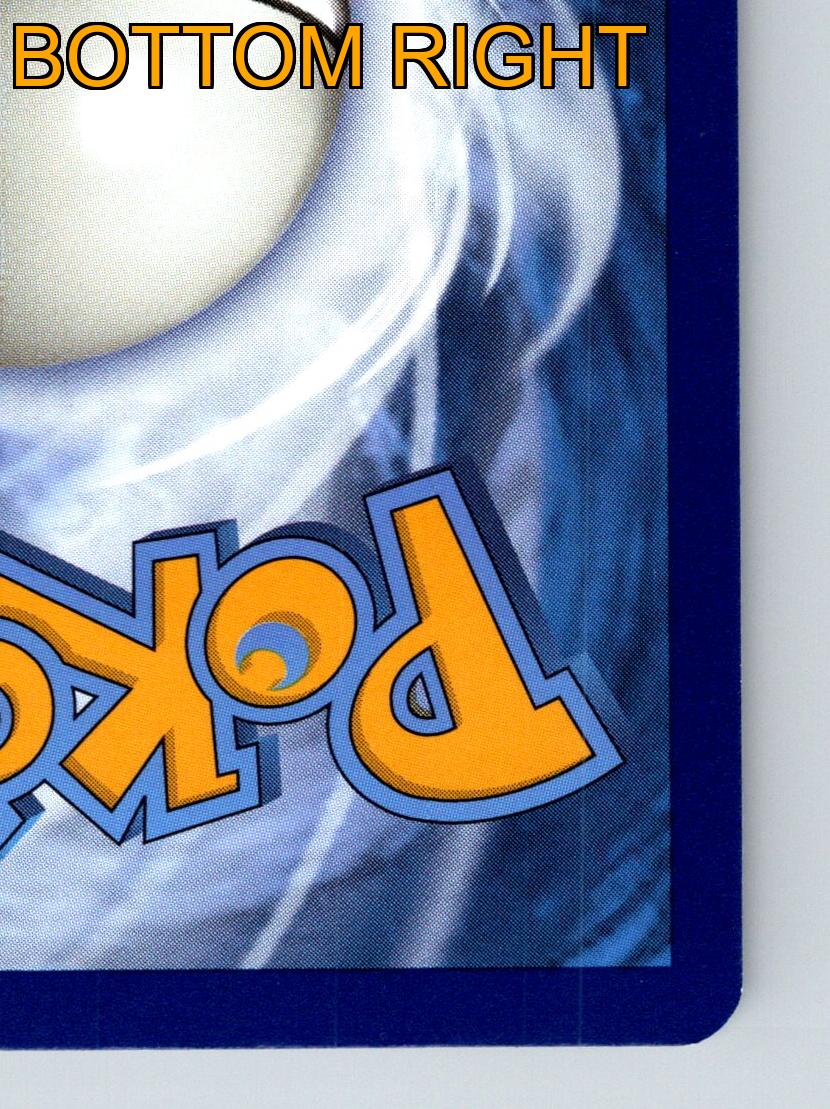 Basic Shrodle HP 60 Sprühflüssigkeit Angriff Rarität grün bunt Pokémon - Bild 10 von 10