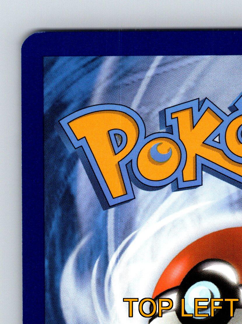 Basic Shrodle HP 60 Sprühflüssigkeit Angriff Rarität grün bunt Pokémon - Bild 7 von 10