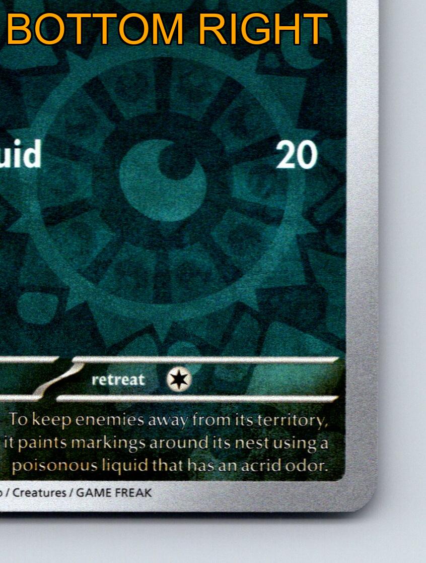 Basic Shrodle HP 60 Sprühflüssigkeit Angriff Rarität grün bunt Pokémon - Bild 6 von 10