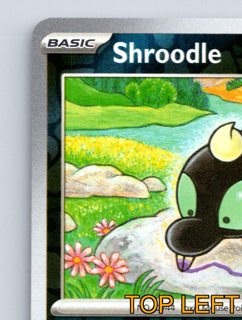 Basic Shrodle HP 60 Sprühflüssigkeit Angriff Rarität grün bunt Pokémon - Bild 3 von 10