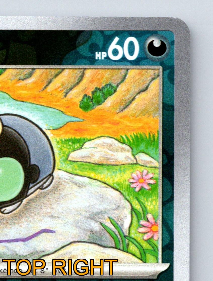 Basic Shrodle HP 60 Sprühflüssigkeit Angriff Rarität grün bunt Pokémon - Bild 4 von 10