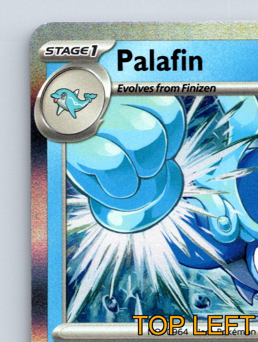 Stage 1 Palafin HP 150 Jet Punch Justice Kick Rarity Blue Pokémon