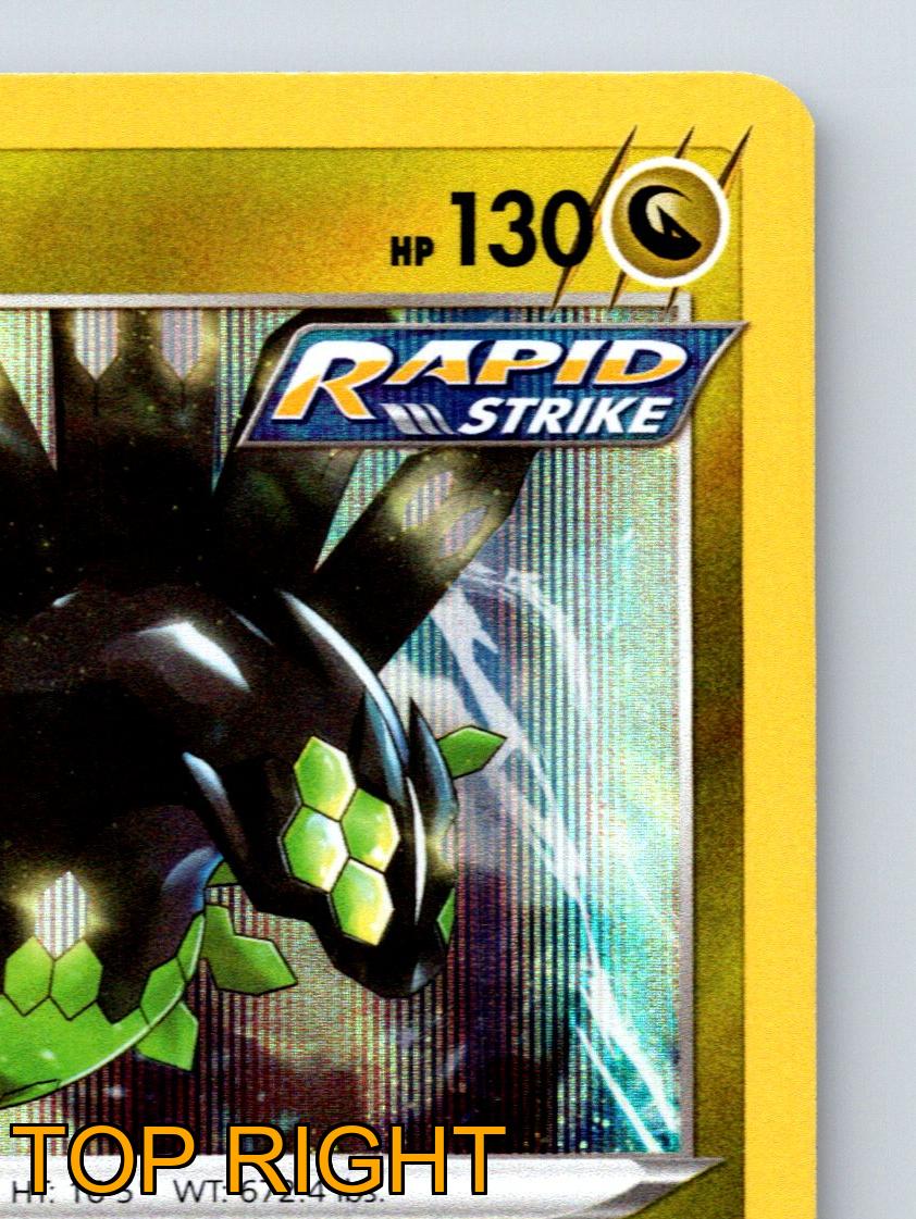 Basic Zygarde HP 130 Rapid Strike Attack Rarity Gold Shiny Pokémon