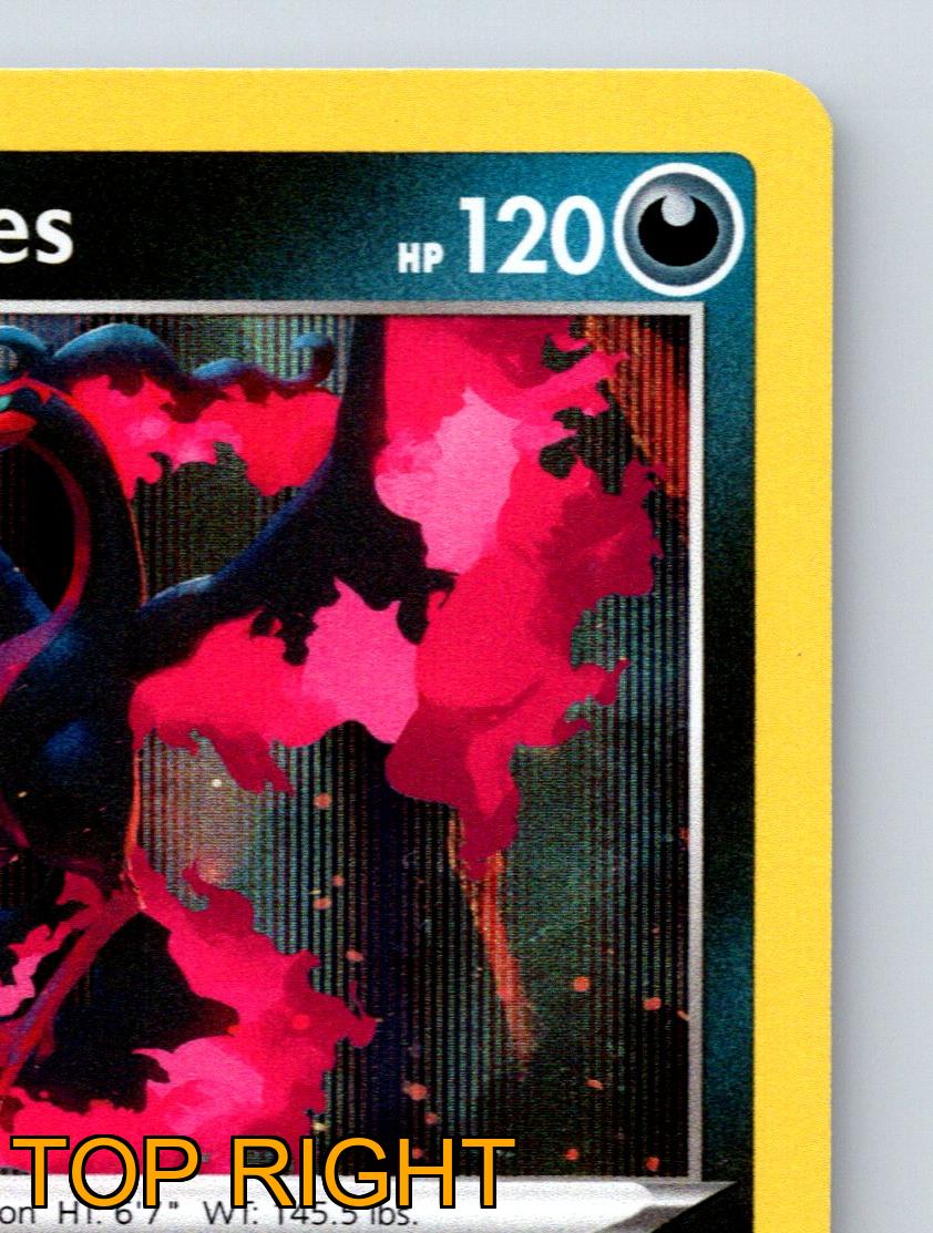 Basic Galarian Moltres HP 120 Fiery Wrath Attack Black Red Pokémon