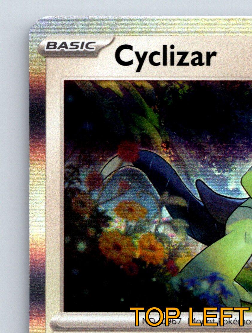 Basic Cyclizar HP 110 Speed Attack Rarity White Pokémon Card