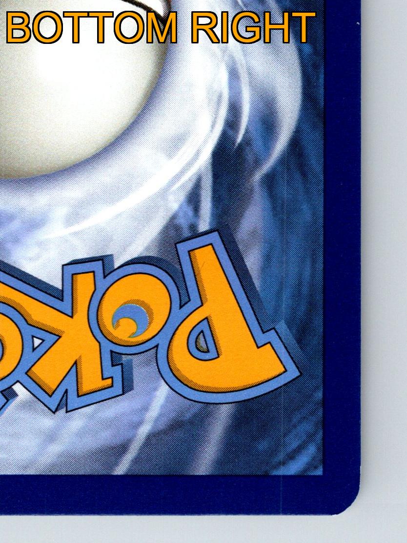 Basic Paldean Wooper HP 70 Flop Attack Blue Background Pokémon Card - Picture 10 of 10