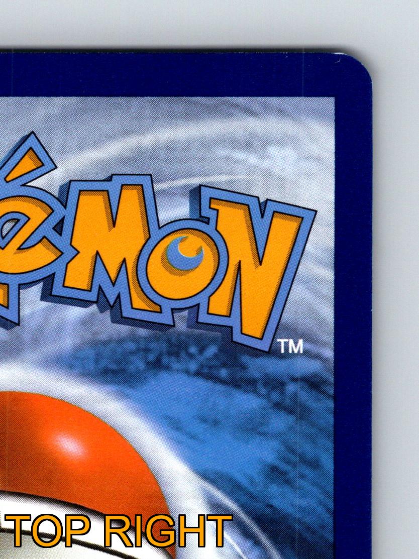 Basic Paldean Wooper HP 70 Flop Attack Blue Background Pokémon Card - Picture 8 of 10