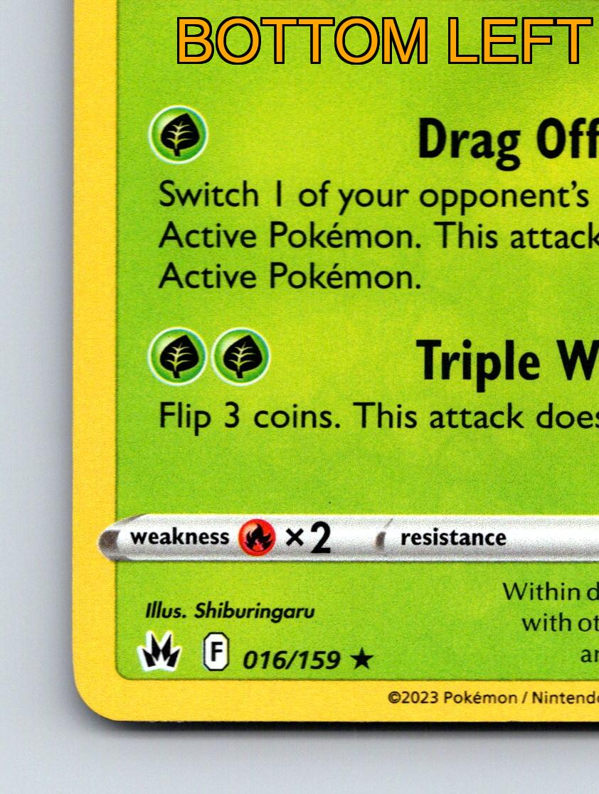 Basic Zarude HP 120 Drag Off Triple Whip Rarity Green Rogue