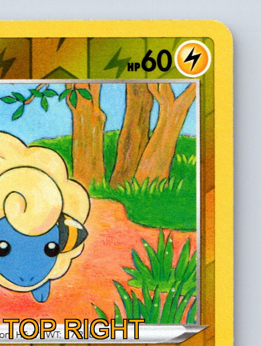 Basic Mareep HP 60 Electro Ball Angriff Rarität Gelb Bunt Pokémon - Bild 4 von 10