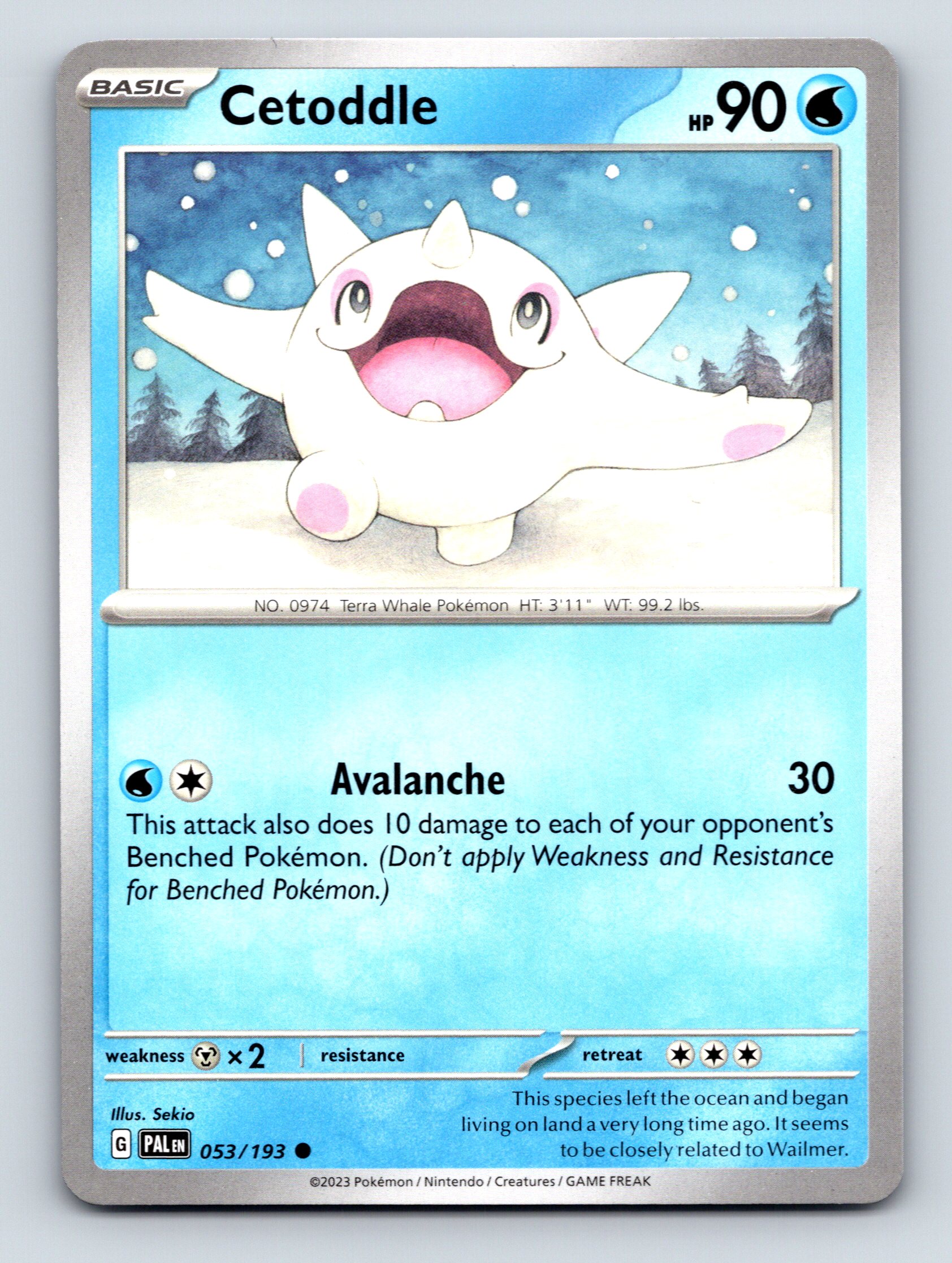 Basic Cetoddle HP 90 Avalanche Attack Rarity Blue Cute Pokémon | eBay
