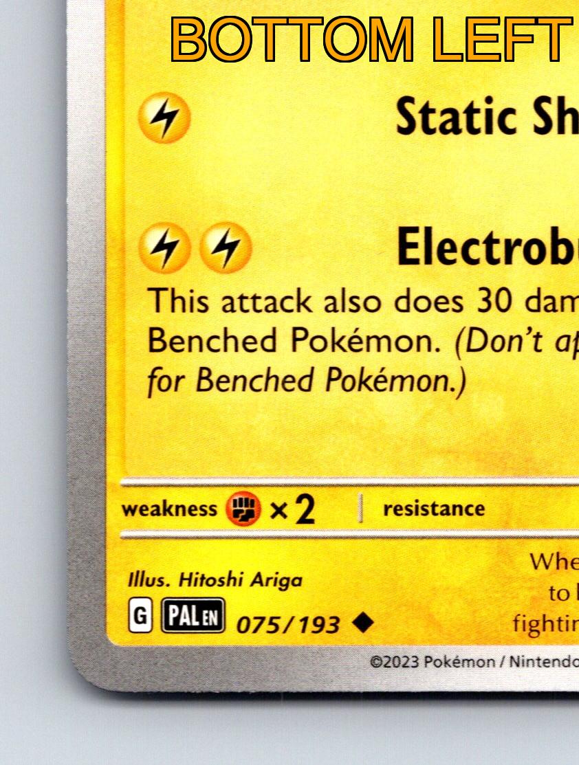Stage 1 Pawmo HP 80 Static Shock Attack Rarity Yellow Pokémon Card
