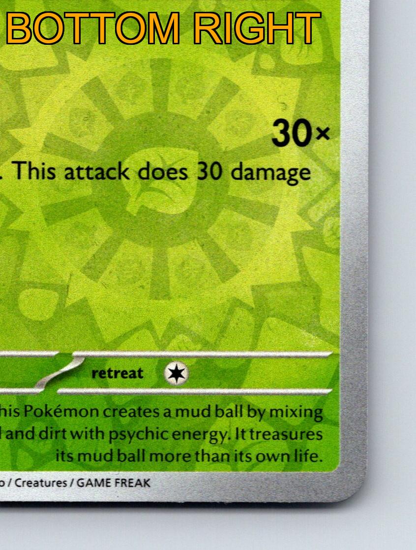Basic Rellor HP 50 Ball Roll Attack Green Rolling Pokémon Card - Picture 6 of 10