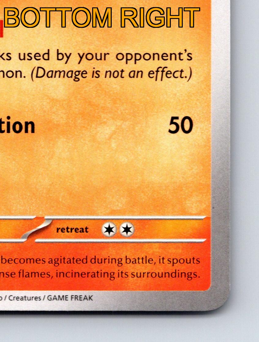 Stage 1 Charmeleon HP 90 Flare Veil Combustion Attack Rarity Orange Pokémon - Imagen 6 de 10