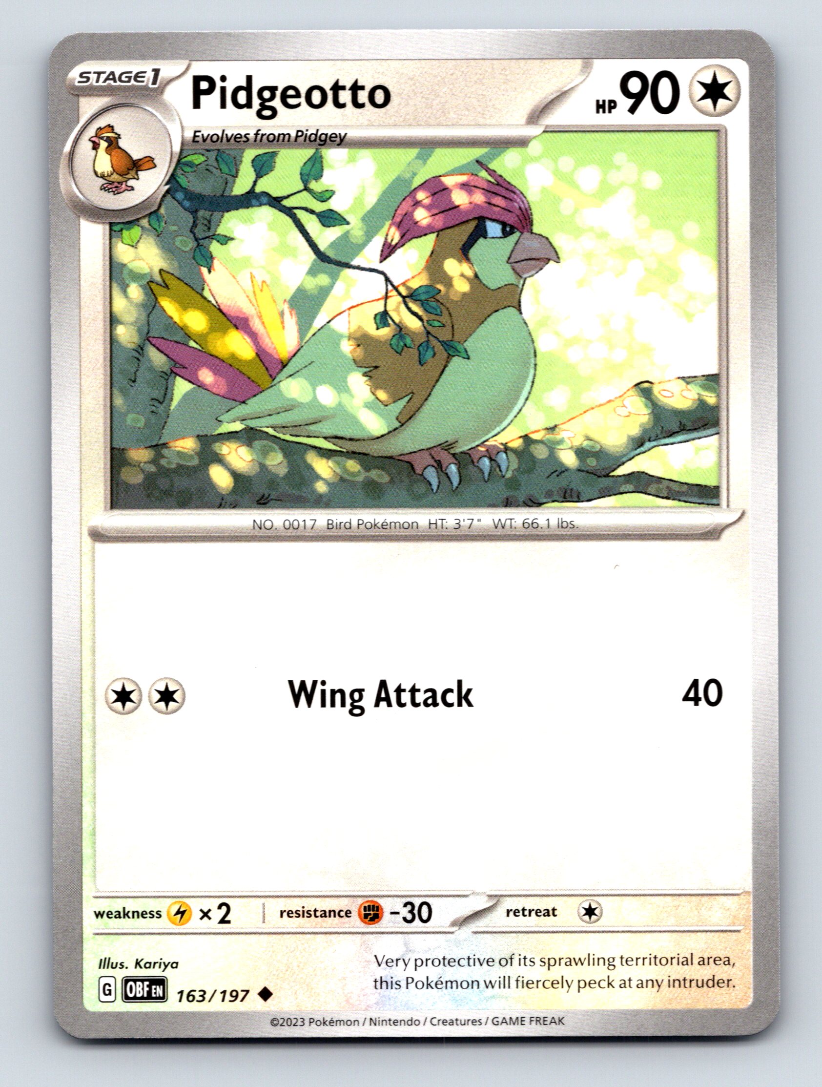Stage 1 Pidgeotto HP 90 Wing Attack Rarity Colorful Bird Pokmon Stage 1 Pidgeotto HP 90 Wing Attack Rarity Colorful Bird Pokmon