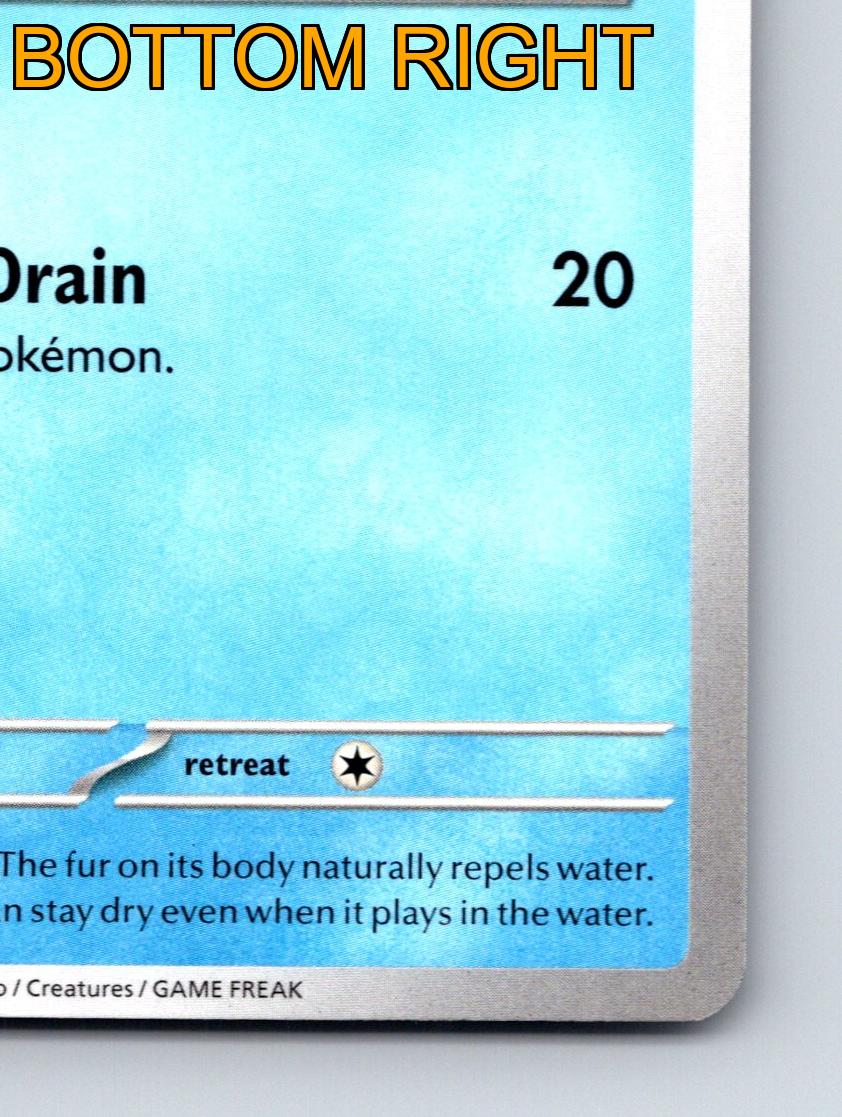 Basic Marill HP 70 Bubble Drain Attack Aqua Mouse Pokémon Blue - Picture 6 of 10