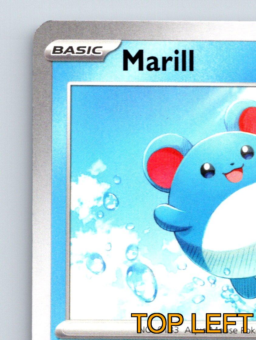 Basic Marill HP 70 Bubble Drain Attack Aqua Mouse Pokémon Blue - Picture 3 of 10