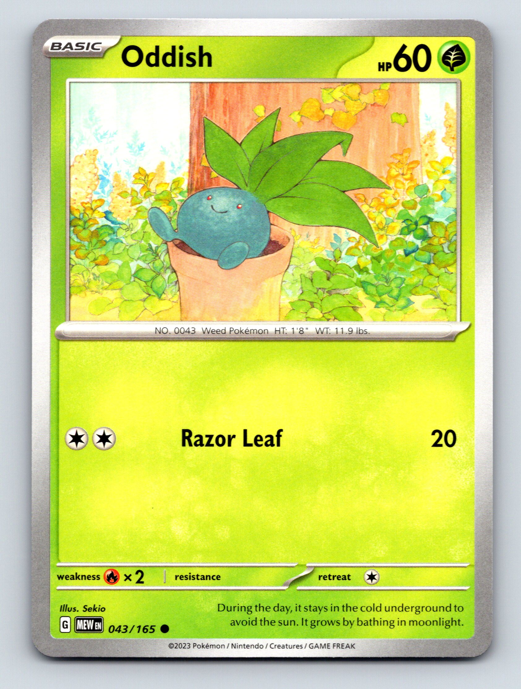 Basic Oddish HP 60 Razor Leaf Attack Rarity Green Vibrant Pokémon