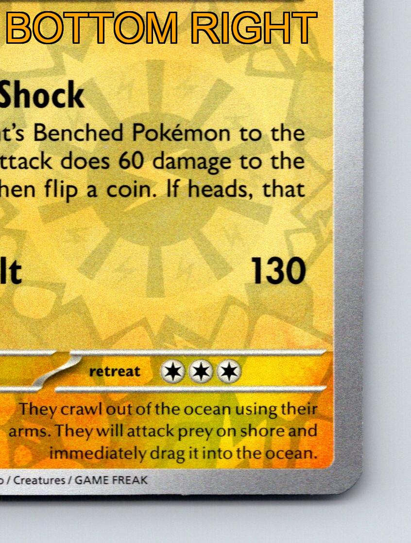 Stage 2 Eelektross HP 160 Suction Shock Head Bolt Rarity Yellow Pokémon - Bild 6 von 10